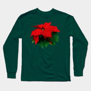 Poinsettias - Poinsettia and Leaves Long Sleeve T-Shirt